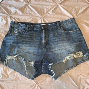 BP distressed shorts